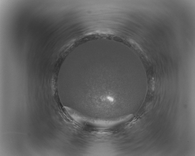 X0000068841110200605081232