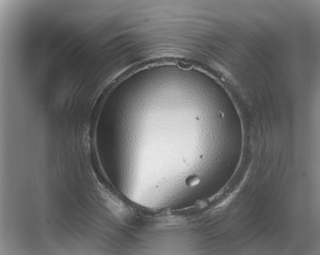 X0000068841113200605081232