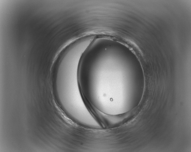 X0000068841114200605081232