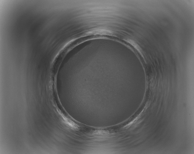 X0000068841115200605081232