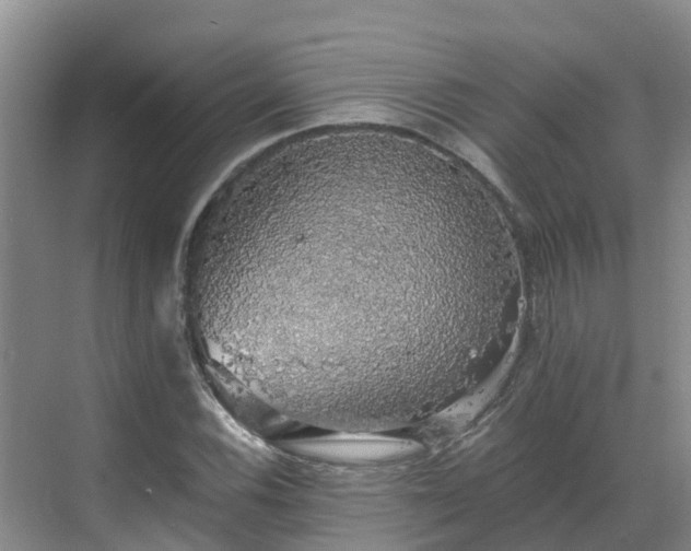 X0000068841116200605081232