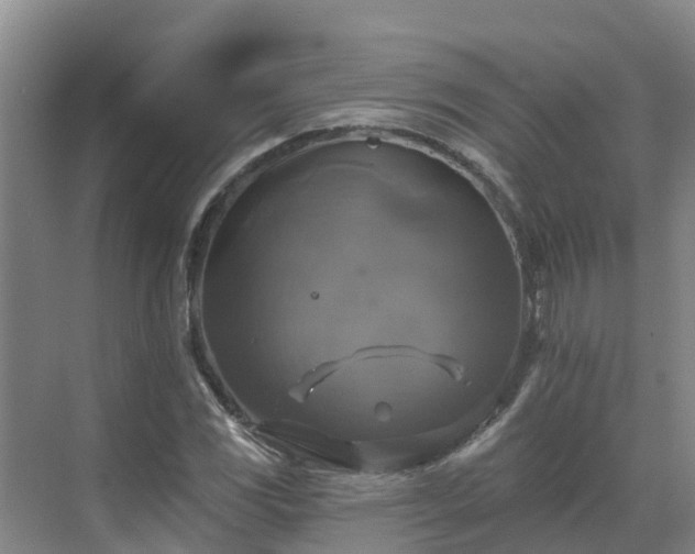 X0000068841117200605081232