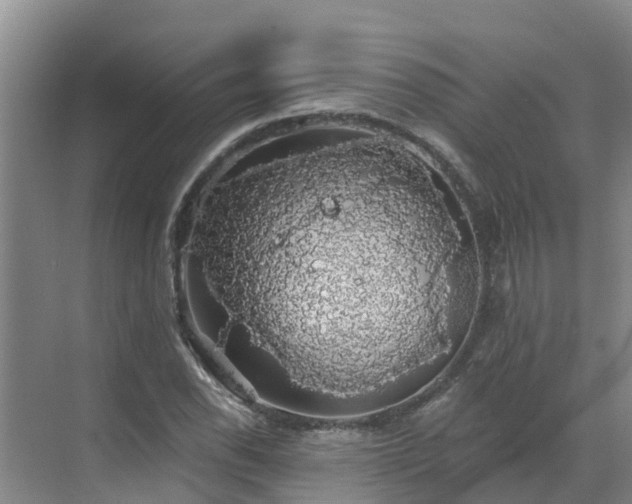 X0000068841118200605081232