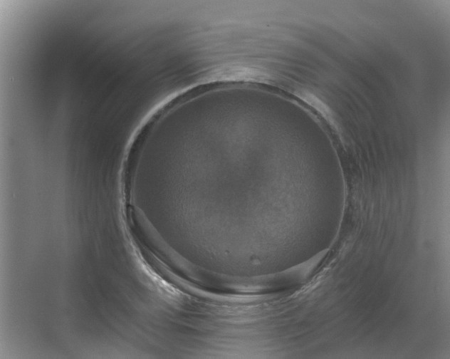 X0000068841120200605081232