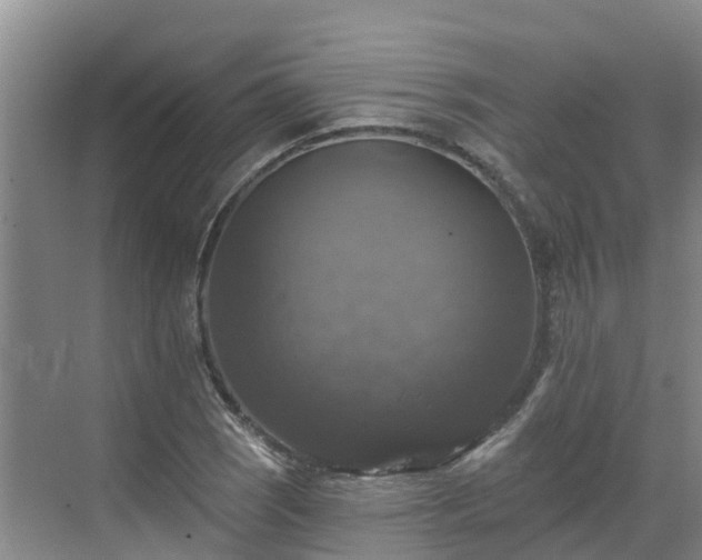 X0000068841121200605081232