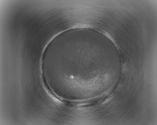 X0000068841124200605081232