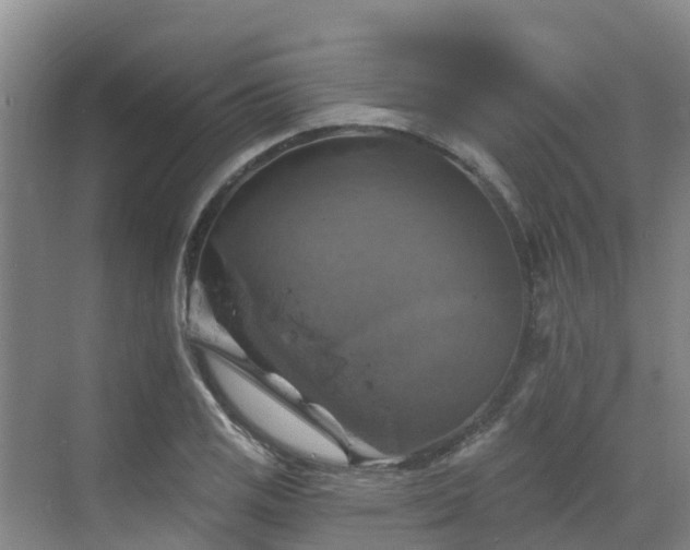 X0000068841125200605081232