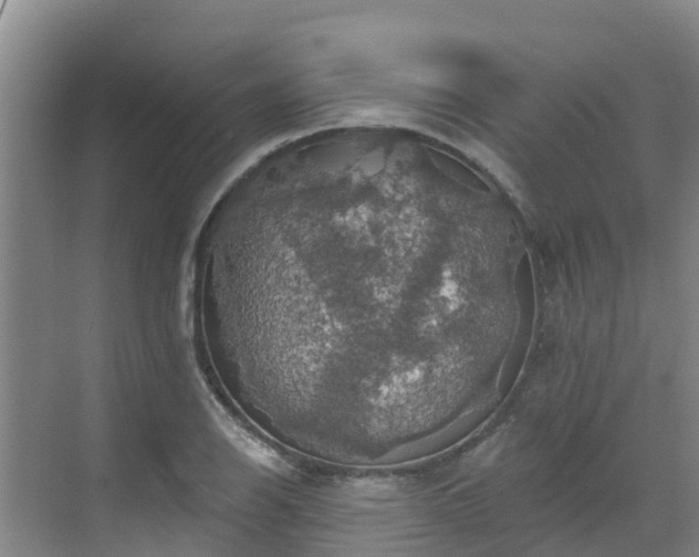 X0000068841126200605081232