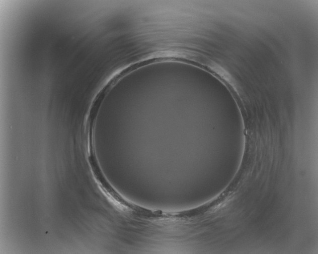 X0000068841127200605081232