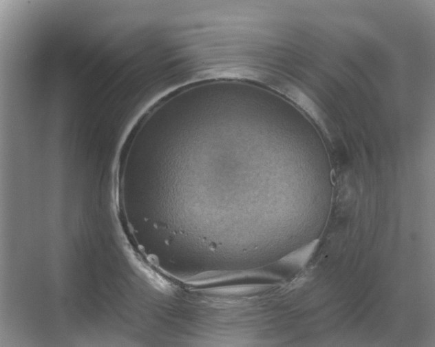 X0000068841132200605081232