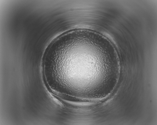 X0000068841133200605081232