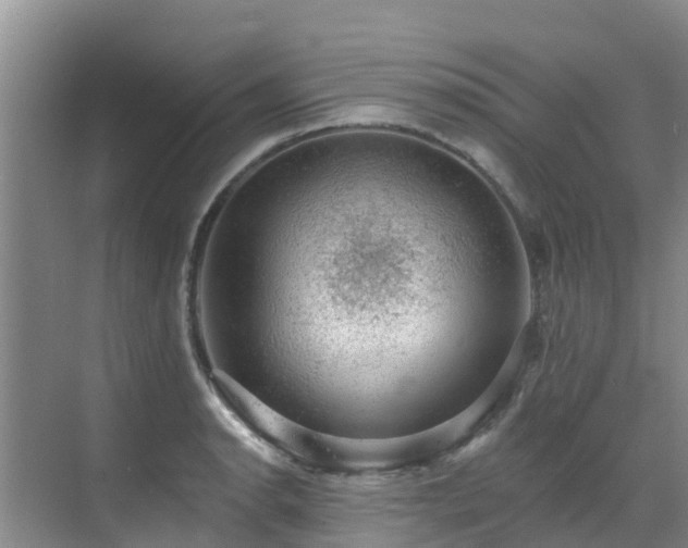 X0000068841134200605081232