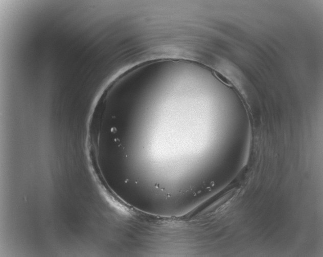 X0000068841136200605081232