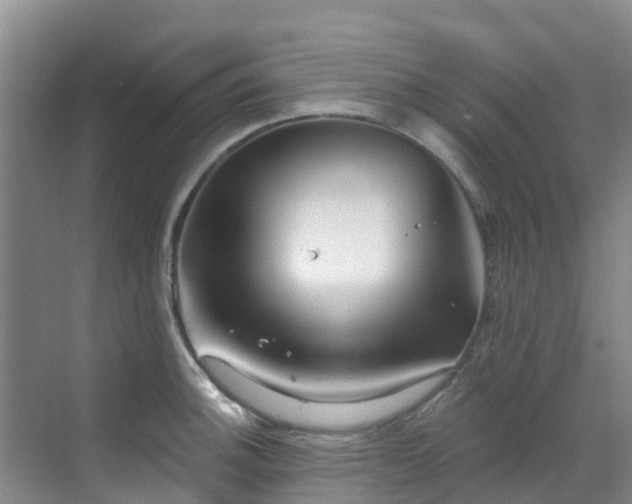 X0000068841140200605081232