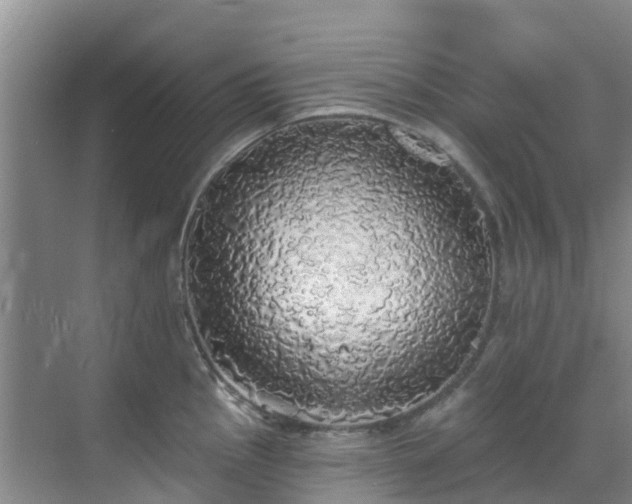 X0000068841145200605081232