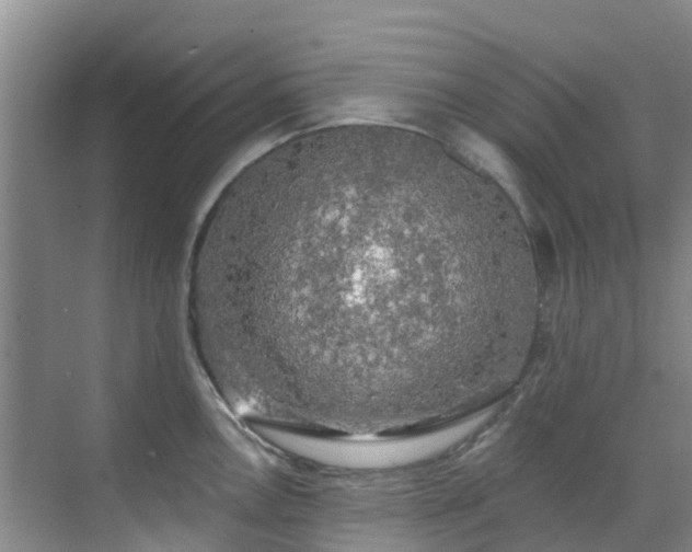 X0000068841146200605081232