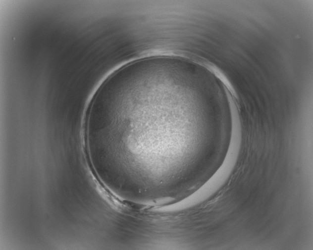 X0000068841148200605081233