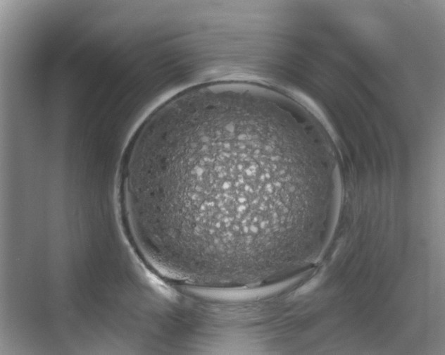 X0000068841149200605081233