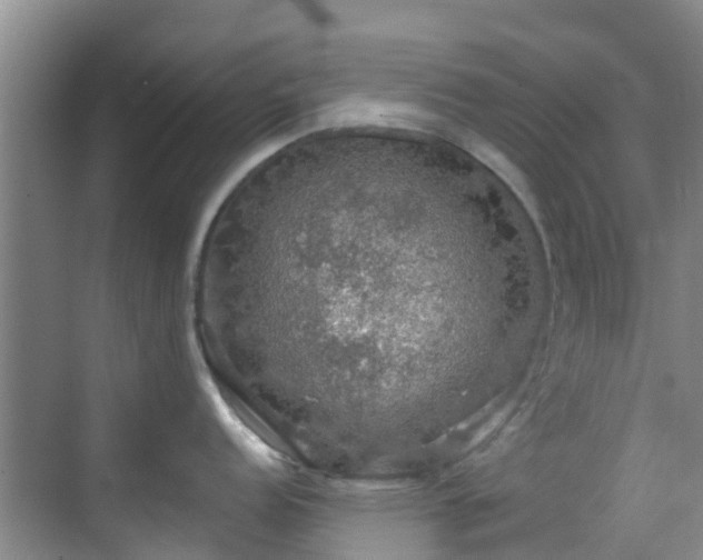 X0000068841152200605081233