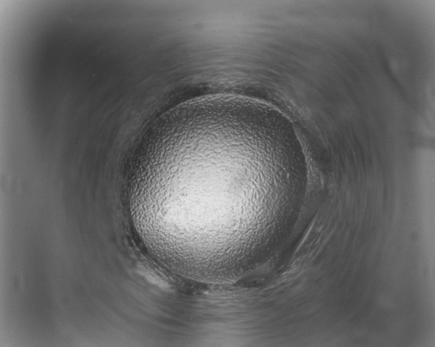 X0000068841153200605081232