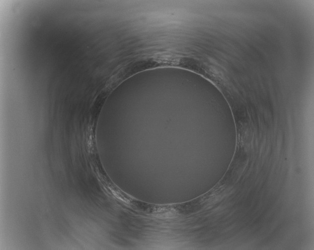 X0000068841154200605081232