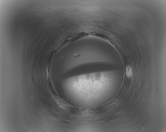 X0000068841155200605081232