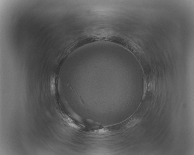 X0000068841156200605081232