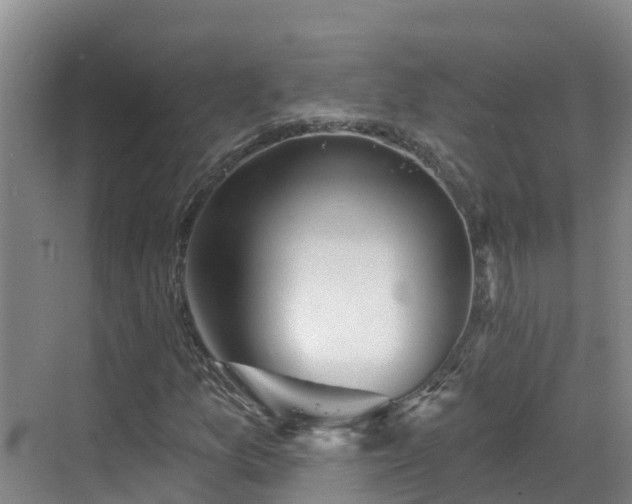 X0000068841157200605081232