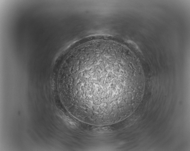 X0000068841159200605081232