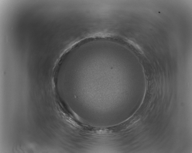 X0000068841160200605081232