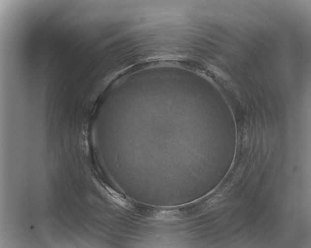 X0000068841161200605081232