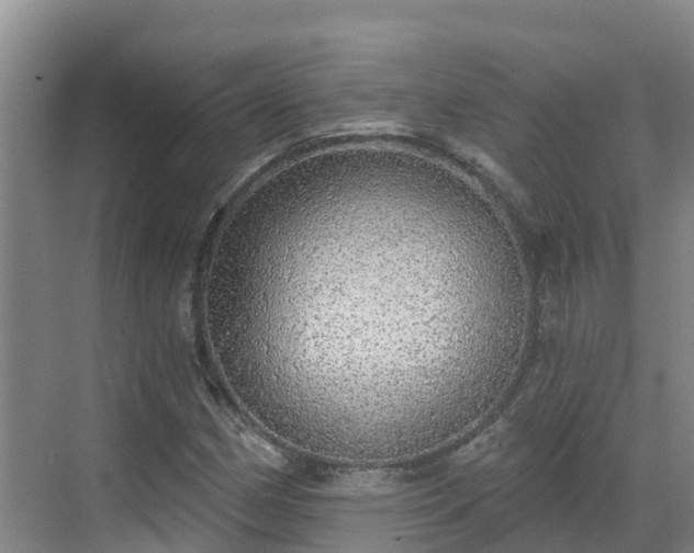 X0000068841162200605081232