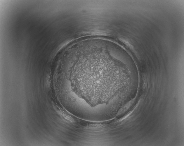 X0000068841163200605081232