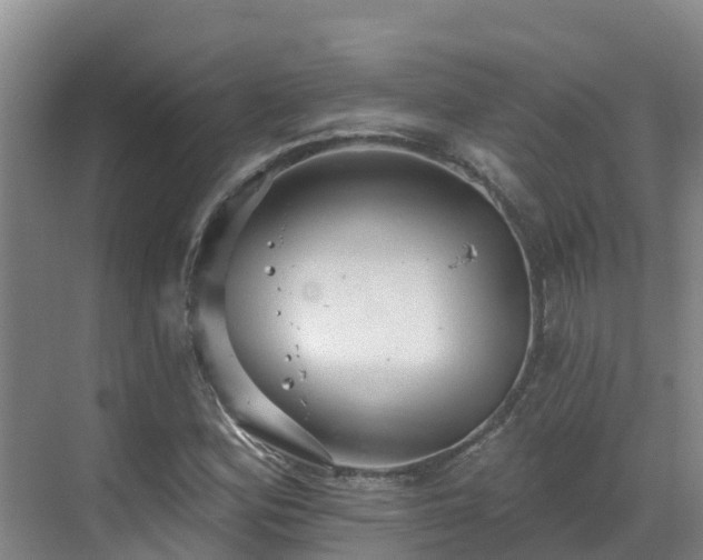 X0000068841164200605081232