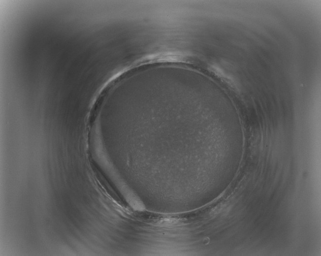 X0000068841166200605081232