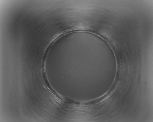 X0000068841170200605081231