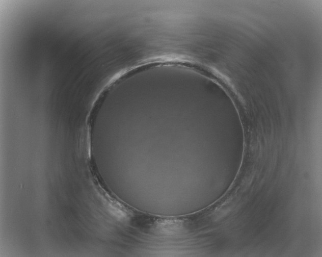 X0000068841171200605081231