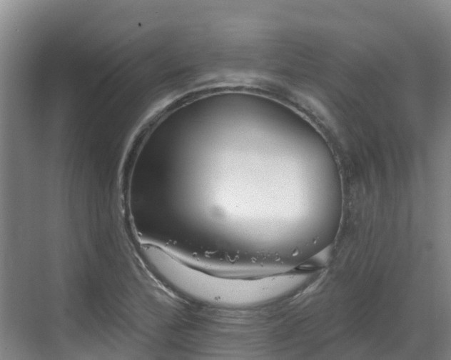 X0000068841172200605081231