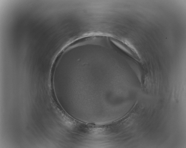 X0000068841173200605081231