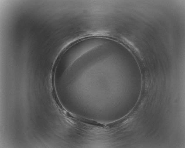 X0000068841174200605081231