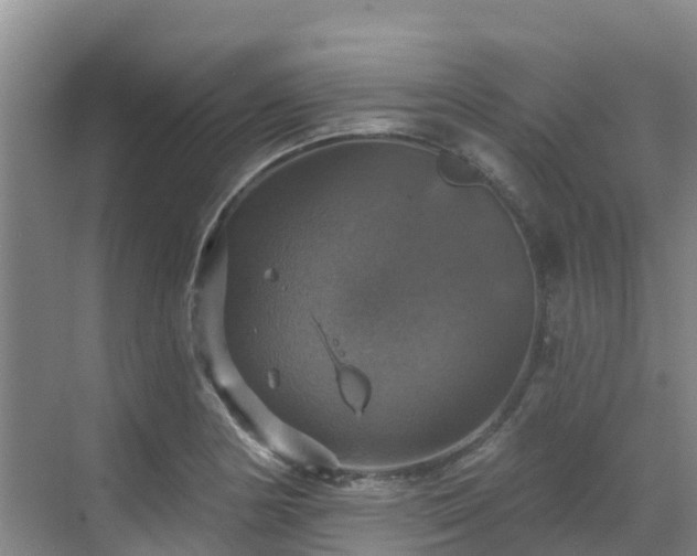 X0000068841178200605081231