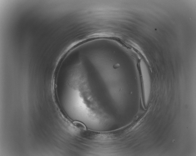 X0000068841179200605081231