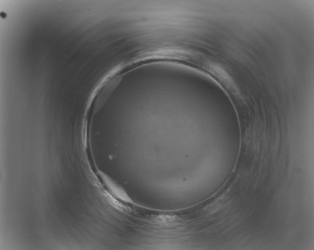 X0000068841180200605081231