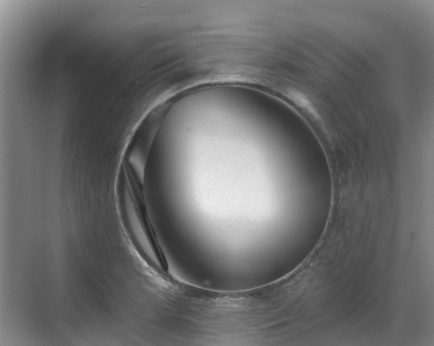 X0000068841181200605081231