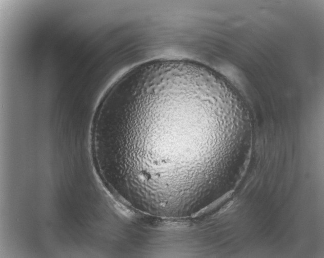 X0000068841183200605081231