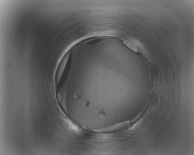 X0000068841184200605081231