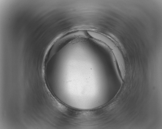 X0000068841188200605081231