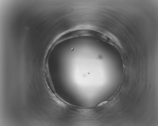 X0000068841192200605081231