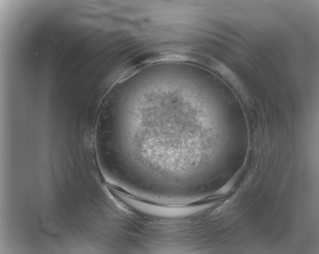 X0000068841193200605081231