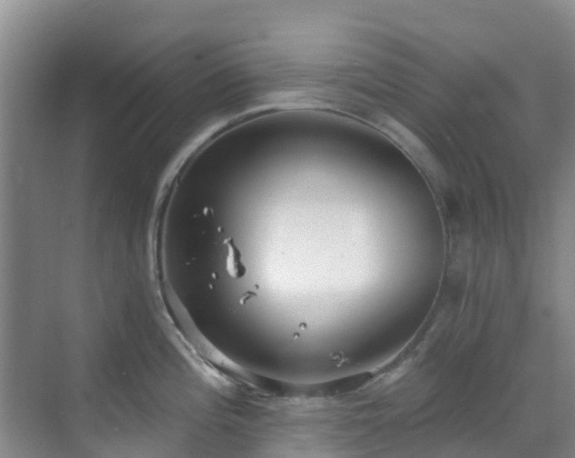 X0000068841196200605081231